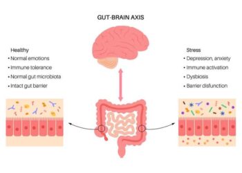 The Gut-Brain Connection: How a Healthy Gut Supports Emotional and ...