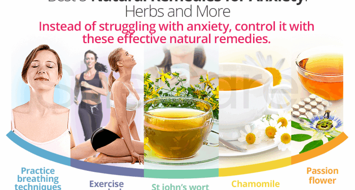 Best 5 Natural Remedies for Anxiety: Herbs and More | SheCares