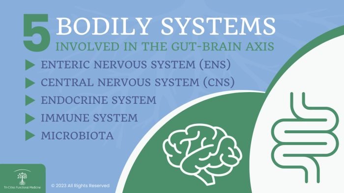 Restore Your Brain Health | Tri-Cities Functional Medicine